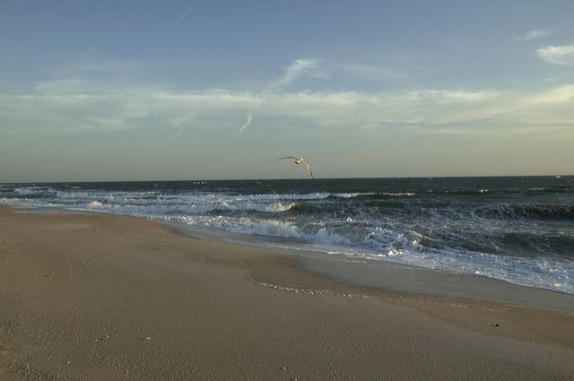 Ocean;Beach;Waves;Shore;Shoreline;Sand;Wet;Water;Sandy;Sea